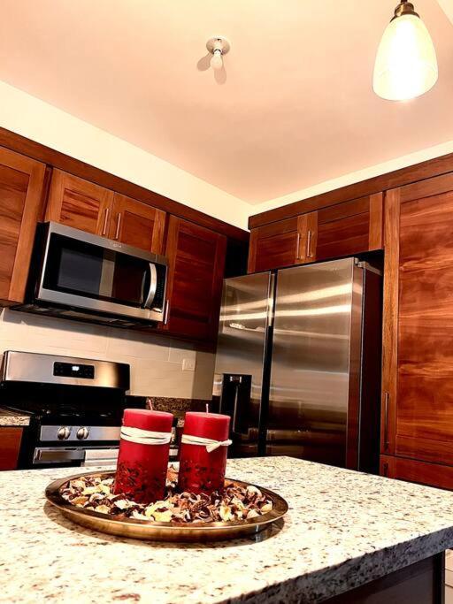 Magnificent Pent House W/Jacuzzi Apartment Santiago De Los Caballeros Exterior photo